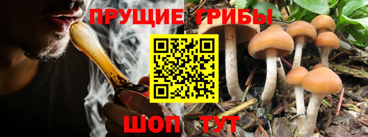 Галлюциногенные грибы Psilocybe  Вход с VPN  Галлюциногенные грибы MAGIC MUSHROOMS  Алапаевск 